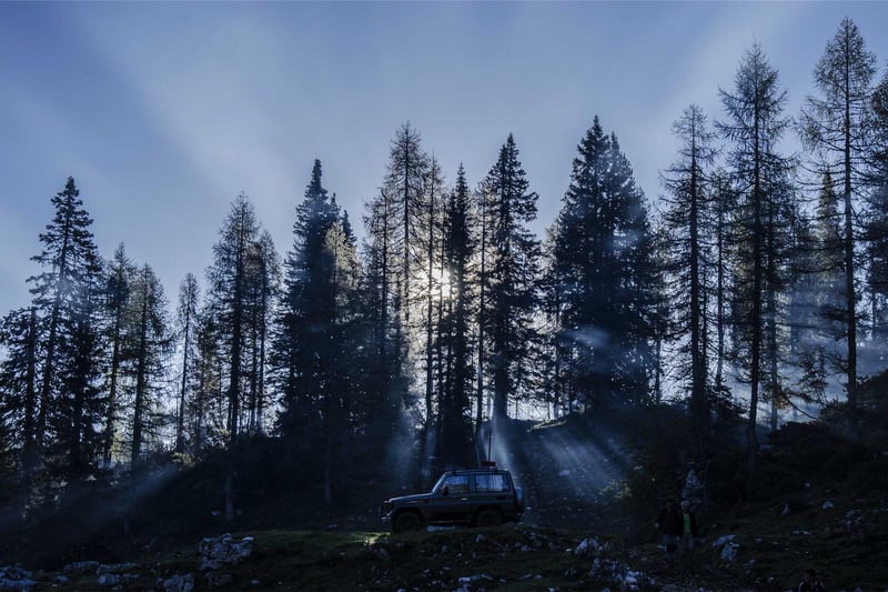 Speckled trout in the net at first light