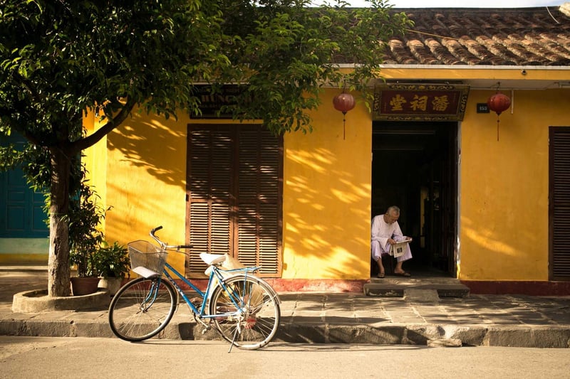 Bait blitz under gulls at the beach